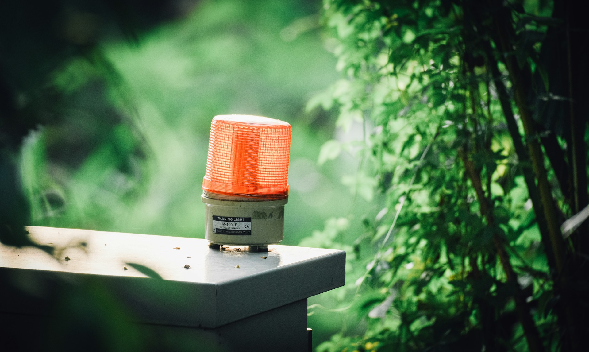 Siren light